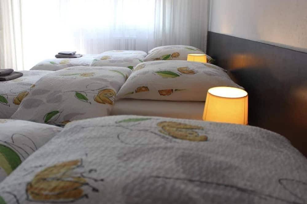 Entire apartment, Studio near Basel Airport in Saint-Louis, Mulhouse region