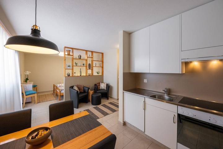 Ganze Ferienwohnung, Studio Arve in Visperterminen, Walliser Alpen