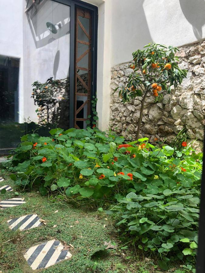 Location de vacances pour 8 personnes, avec piscine et jardin à Saint-Chaptes - 2