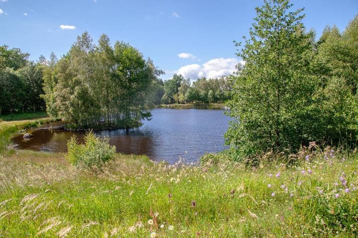 Chambre d’hôte pour 12 personnes, avec Terrasse et Jardin dans Parc naturel régional de l'Aubrac - 3