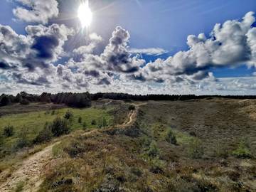 Ferieudlejning til 6 Personer i Bolilmark, Rømø, Billede 4