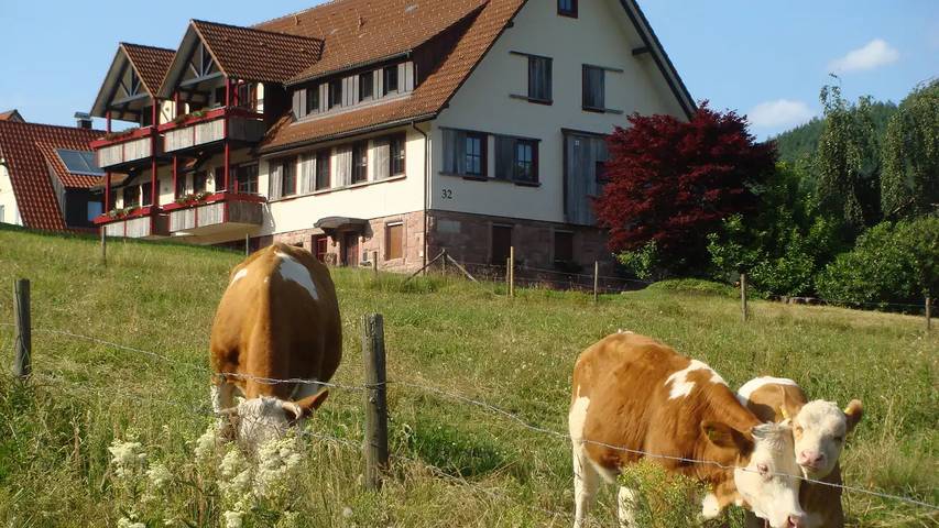Hütte für 5 Personen, mit Garten, mit Haustier in Baiersbronn - 3
