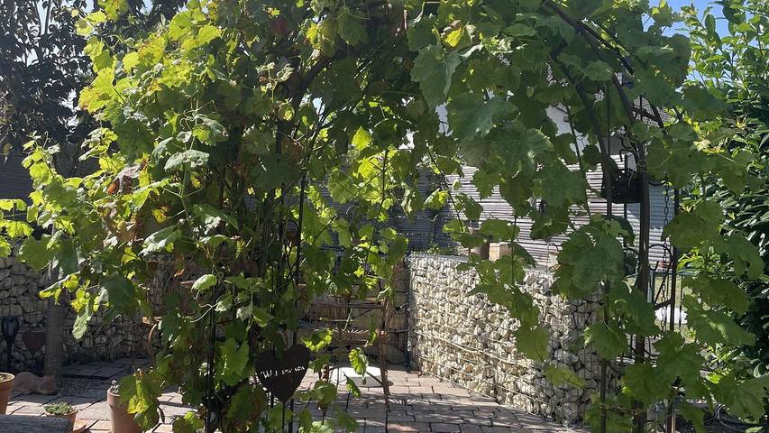 Bungalow für 3 Personen, mit Terrasse und Sauna in der Eifel - 4