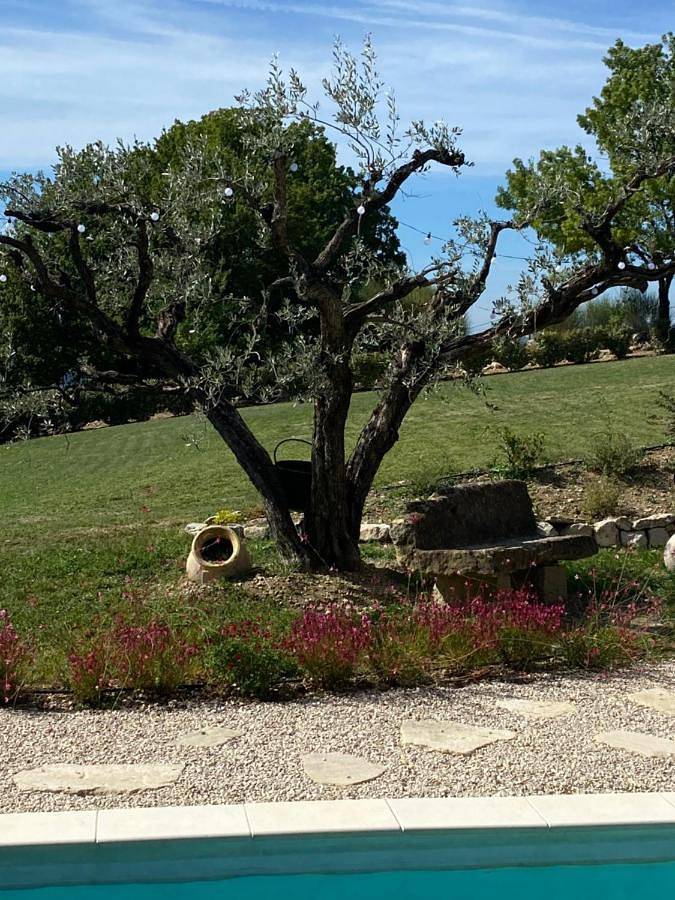 Hôtel pour 2 personnes, avec vue ainsi que piscine et jardin à Plaisians - 3