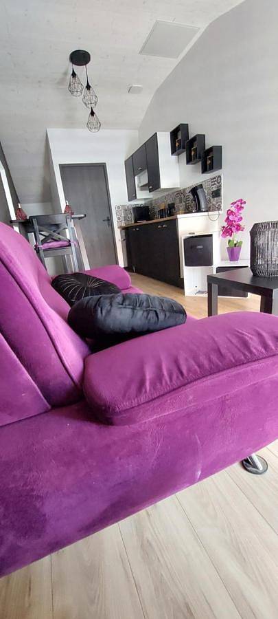 Gîte pour 2 personnes, avec terrasse et jacuzzi à La Guérinière - 4