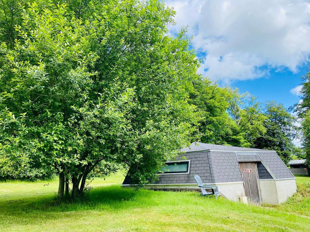 L'étape en forêt in Saint-Sever-Calvados, Noues de Sienne