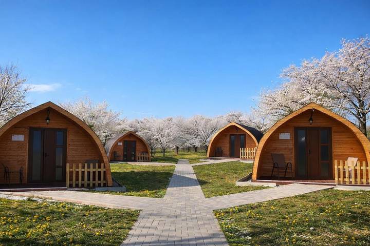 Location de vacances pour 4 personnes, avec jardin et vue dans Cluj-Napoca