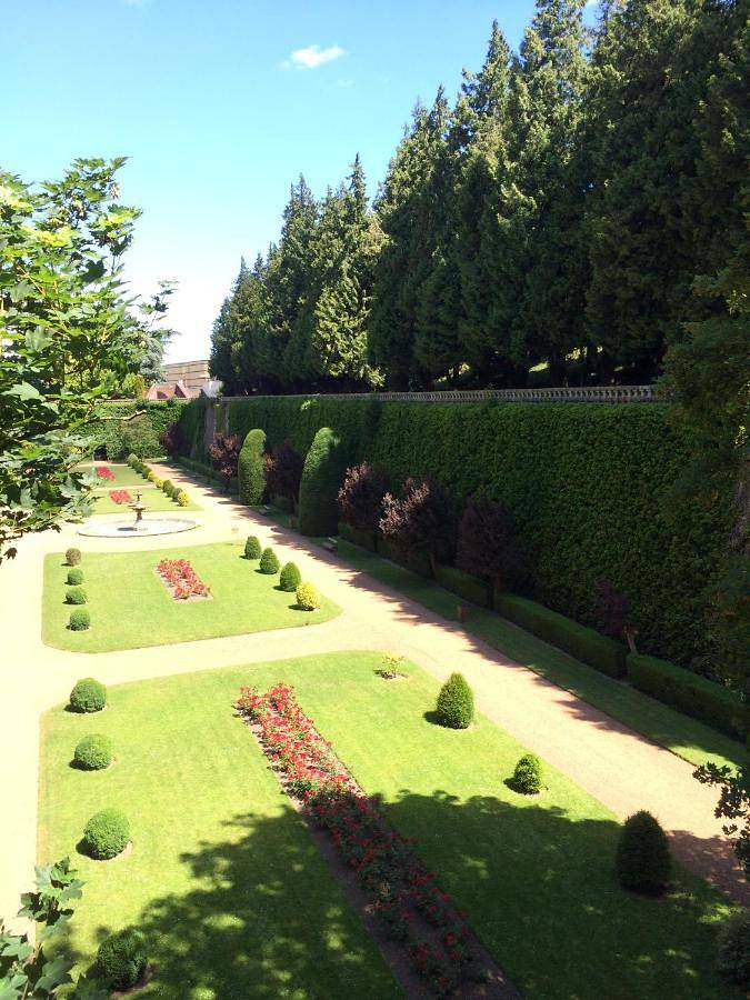 Location de vacances pour 11 personnes, animaux acceptés à Saint-Omer - 4