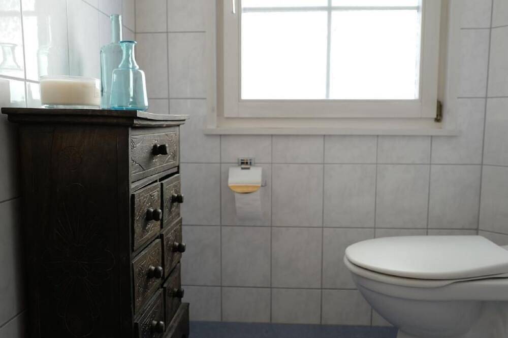 Ganze Wohnung, Altes Schulhaus in Ebnat-Kappel, Zürich Voralpen