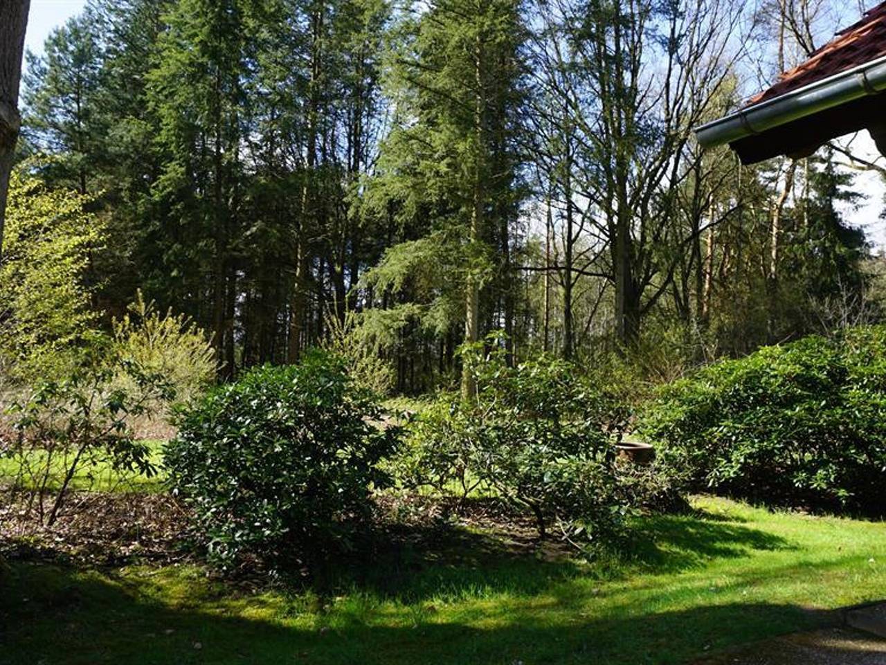 Ferienhaus Becker - Ferienhaus, Dusche, Wc, 4 oder mehr Schlafräume in Bispingen, Landkreis Heidekreis