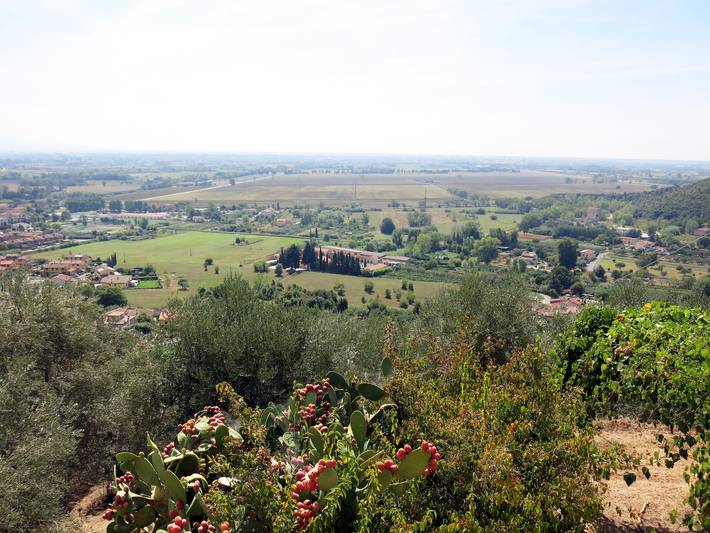 Location de vacances pour 6 personnes, avec jardin et terrasse à San Giuliano Terme - 2