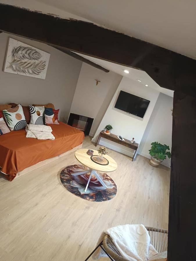 A1 Champagne Résidence - 200 m2 14 personnes 2 toilets 4 showers - hyper centre - Chalons en Champagne in Châlons-en-Champagne, Marne