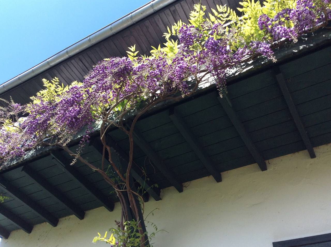 Charming House in Bayonne with Private Terrace, Garden and Wi-Fi in Bayonne, Bayonne region