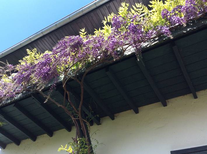 Location de vacances pour 9 personnes, avec jardin, adapté aux familles à Bayonne - 4