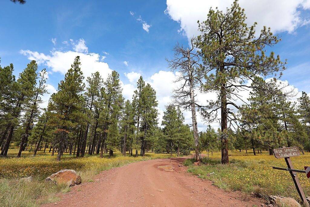 Munds Park Deer Run Retreat welcomes your family and dog! in Munds Park, Oak Creek Canyon