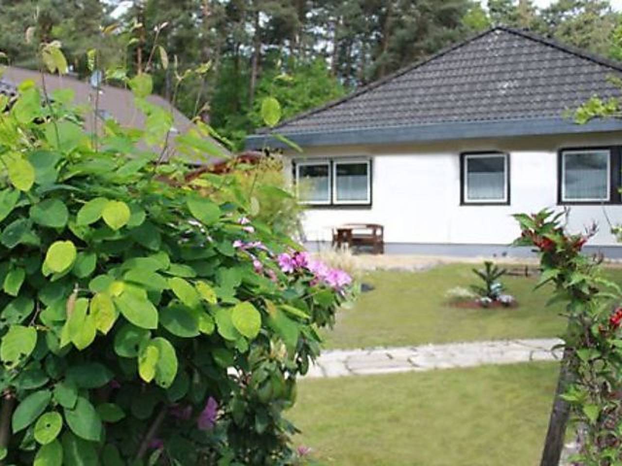 Ganze Wohnung, Naherholung inmitten der Natur am Rheinsteig in Rheinbreitbach, Mittelrhein