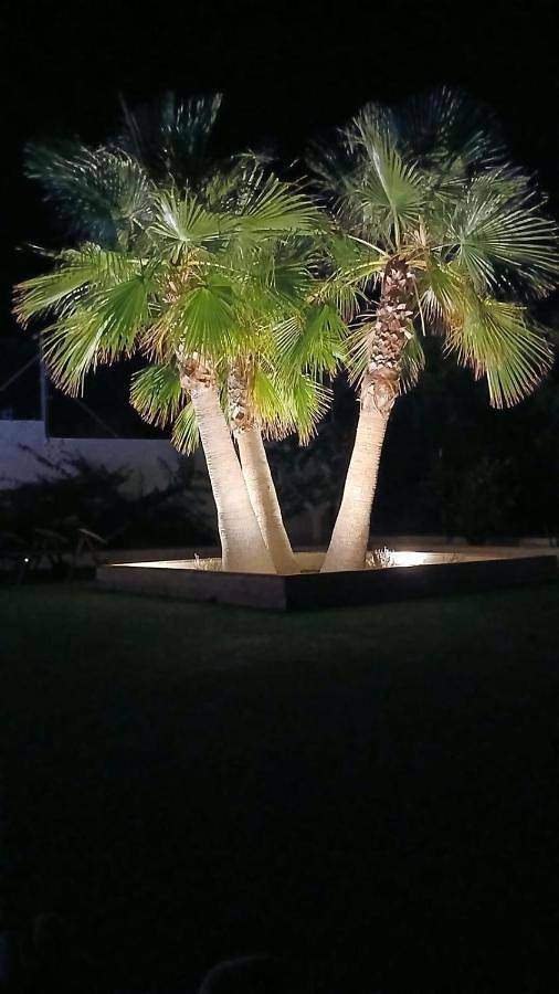 Casa rural para 8 personas, con piscina además de vistas y jardín en San Fulgencio - 2