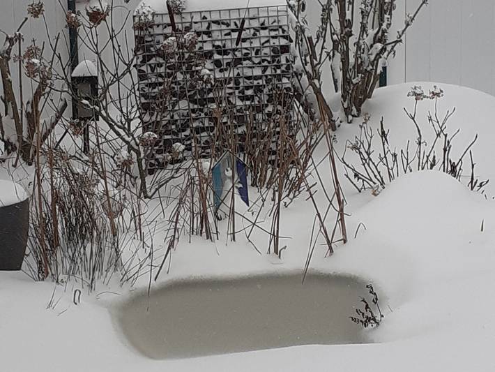 Ferienwohnung für 4 Personen, mit Terrasse und Garten am Niederrhein - 3