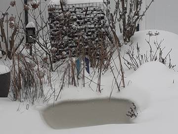 Ferienwohnung für 4 Personen in Kalkar, Niederrhein, Bild 2