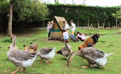 Cottage for 5 People in Forges-les-Eaux, Seine-Maritime, Photo 4