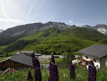Hütte für 4 Personen in Arosa, Plessur, Bild 3