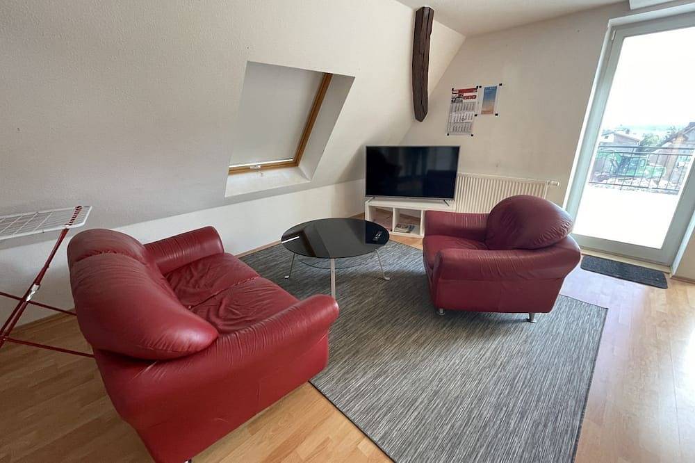 Ganze Wohnung, Luxuriöses Apartment für 3 Personen in Sinsheim, Kraichgau