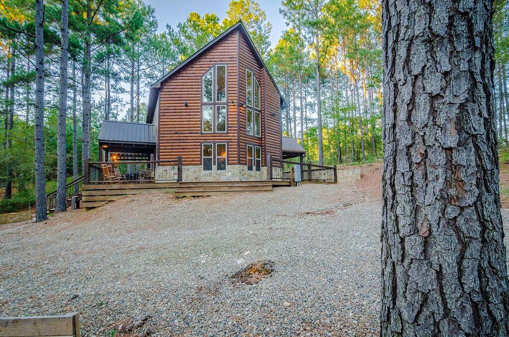 Gelbe Rosen sind für ihre Symbolik der Freundschaft und Fürsorge bekannt. in Broken Bow, Broken Bow Lake