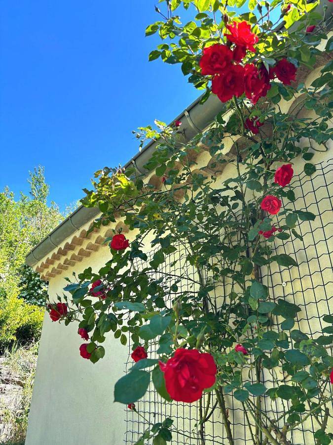 Location de vacances pour 6 personnes, avec terrasse ainsi que vue et jardin à Saou - 2
