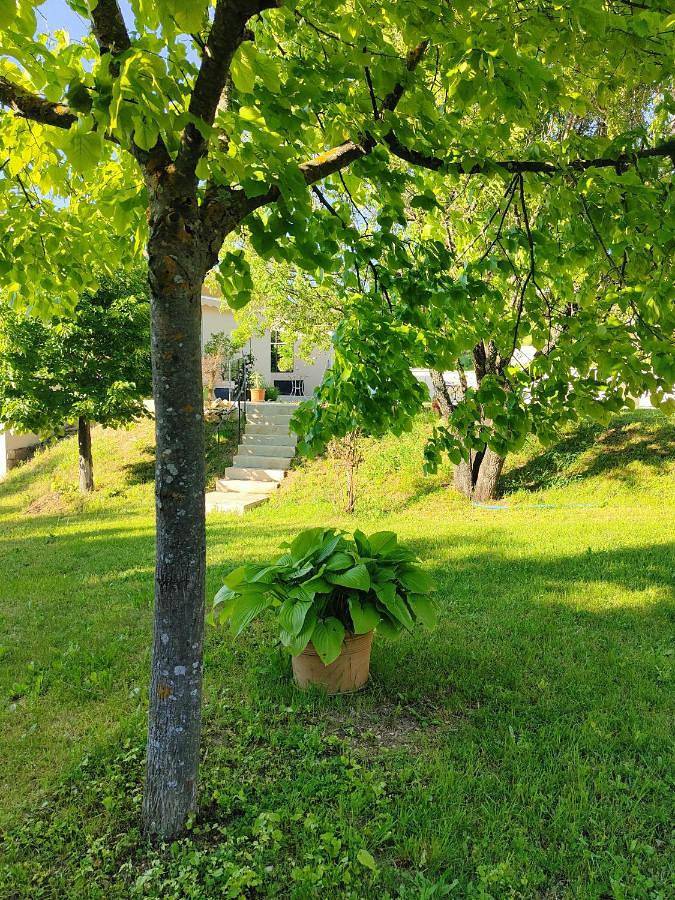 Gîte pour 2 personnes, avec piscine et jardin ainsi que vue et terrasse à Malemort-du-Comtat - 4