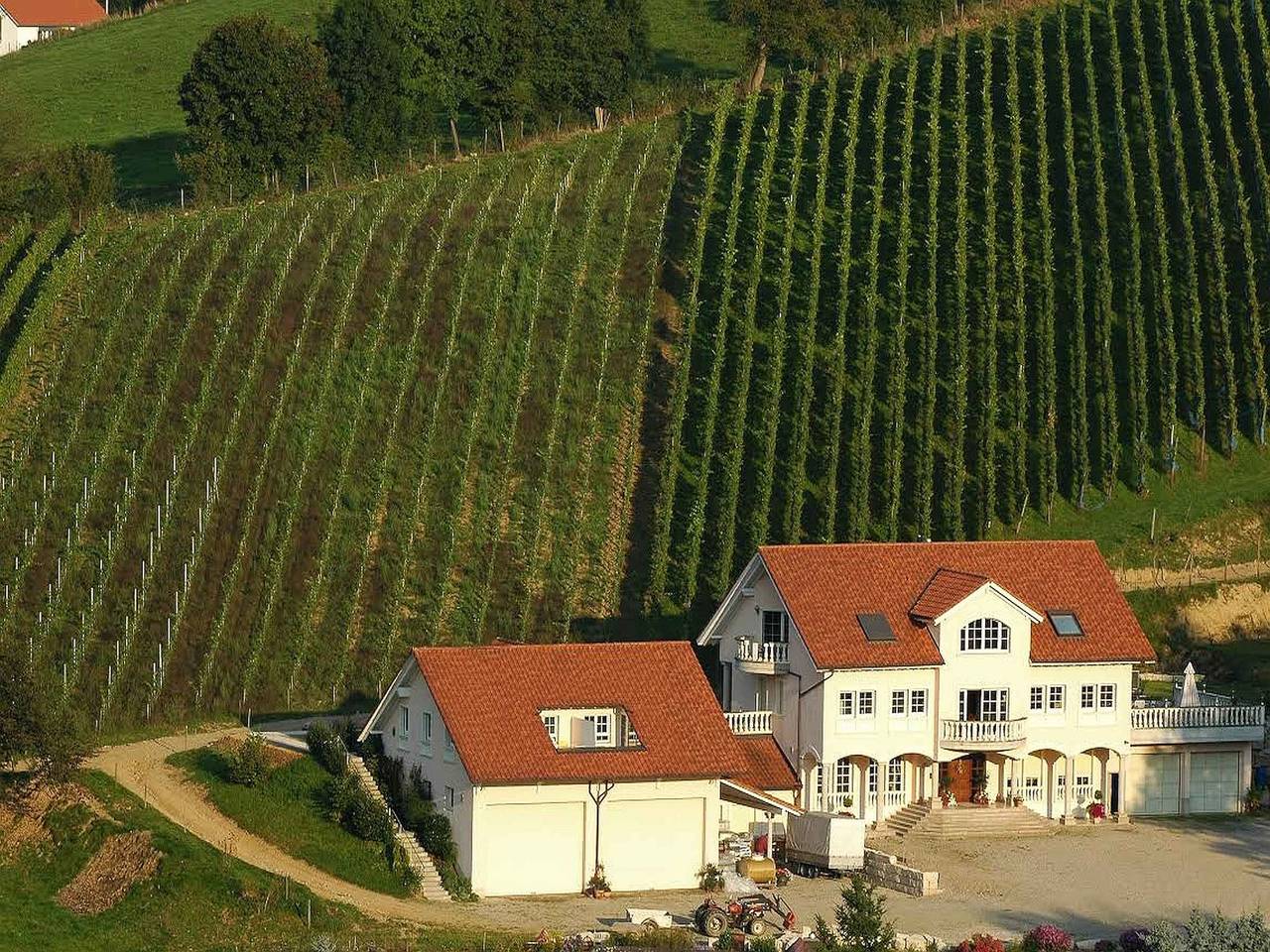 Appartamento intero, Weingut-Brennerei-Ferienwohnungen Eugen Wissler - Ferienwohnung 45qm, 2-Zimmerwohnung, max. 3 Personen in Au (Foresta Nera), Sudschwarzwald