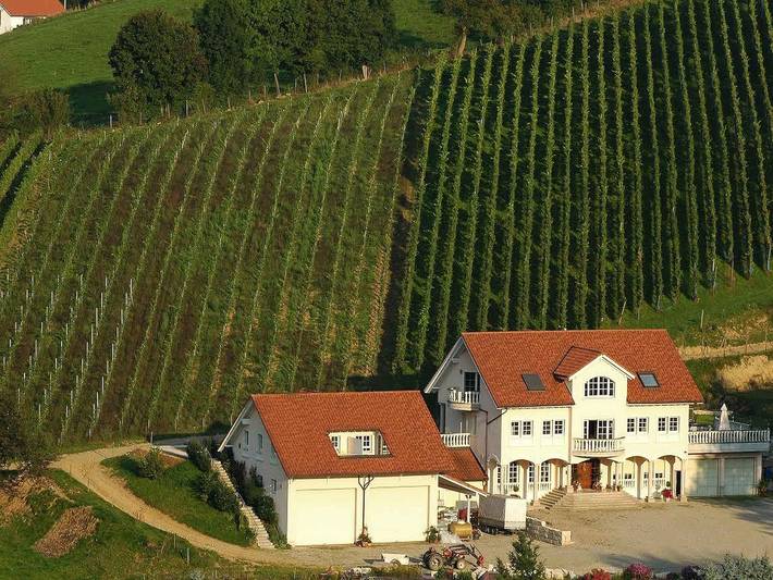 Ganze Wohnung, Weingut-Brennerei-Ferienwohnungen Eugen Wissler - Ferienwohnung 45qm, 2-Zimmerwohnung, max. 3 Personen in Au (Schwarzwald), Südschwarzwald