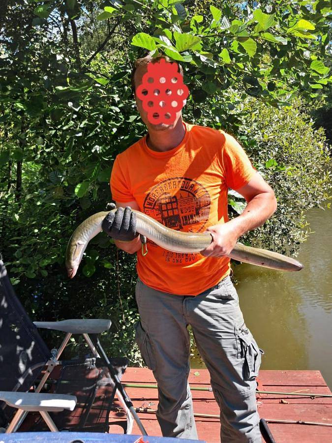 Gîte pour 4 personnes, avec jardin ainsi que vue sur le lac et vue, animaux acceptés à Renac - 2
