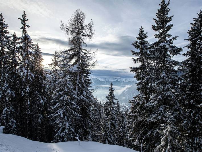 Chalet für 4 Personen, mit Garten im Wallis - 4