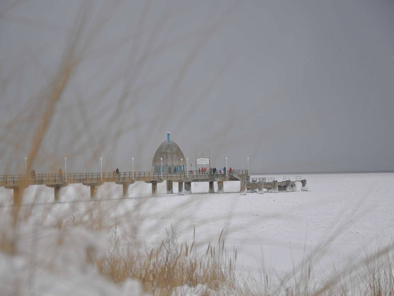 Ganze Ferienwohnung, Perle der Ostsee - Ferienwohnung Terra in Zinnowitz, Usedomer Norden
