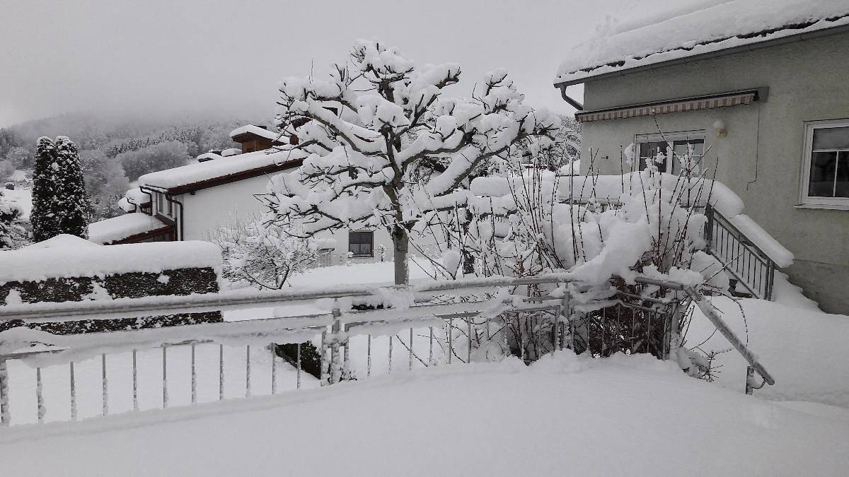 Ferienwohnungen Sachsenblick - Fewo 2 mit Terrasse in Grafenau, Ostbayern