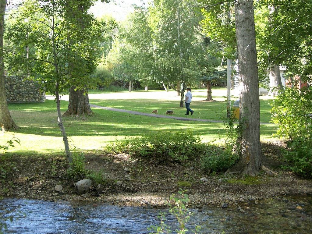 Guest house above garage in Anaconda-Deer Lodge County, Deer Lodge County