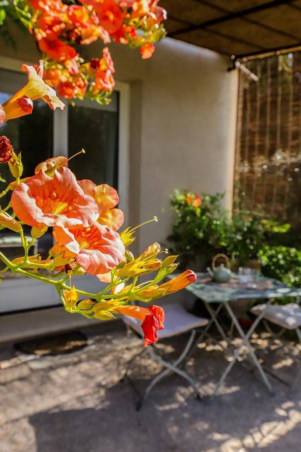Chambre d’hôte pour 2 personnes, avec Terrasse ainsi que Jardin et Vue à Paradou - 2