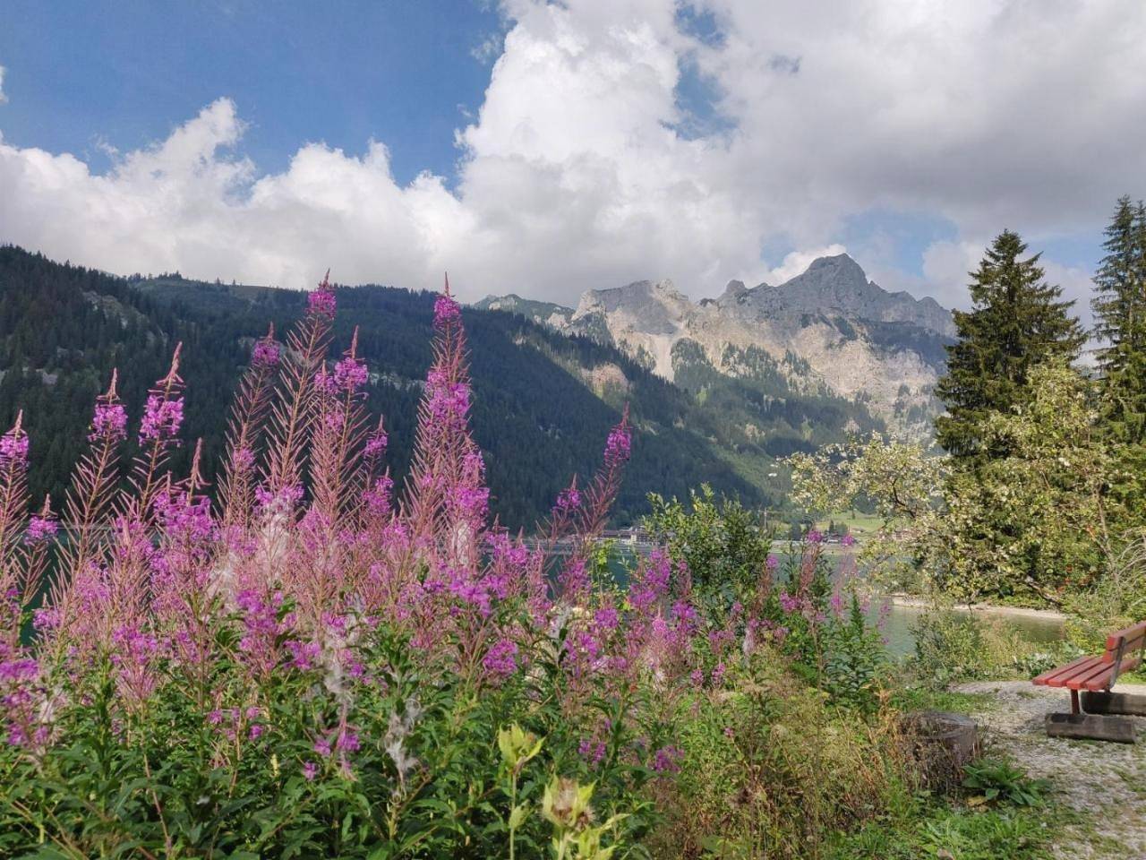 Ganze Wohnung, Apartment with Lake View in Haller am Haldensee, Allgäuer Alpen (Österreich)