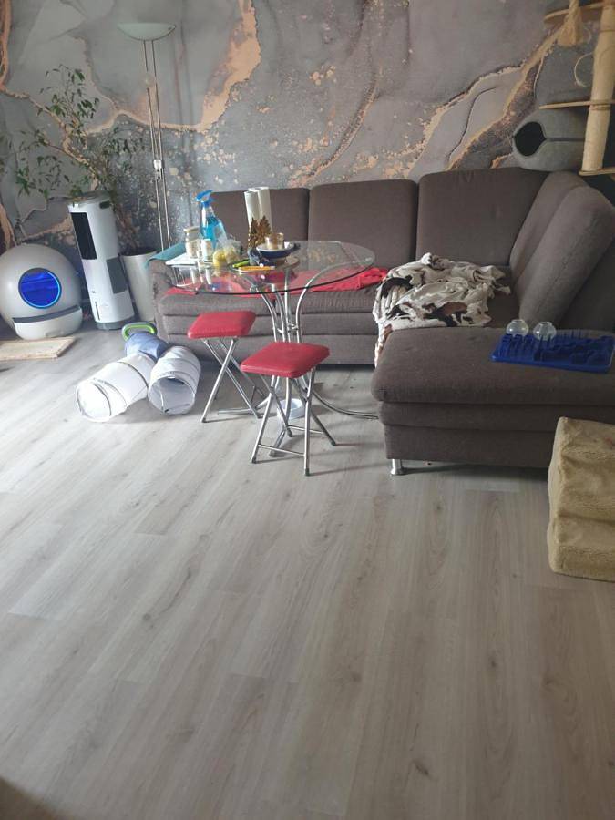 Ferienhaus für 2 Personen, mit Balkon und Terrasse sowie Garten in Forst (Lausitz) - 2