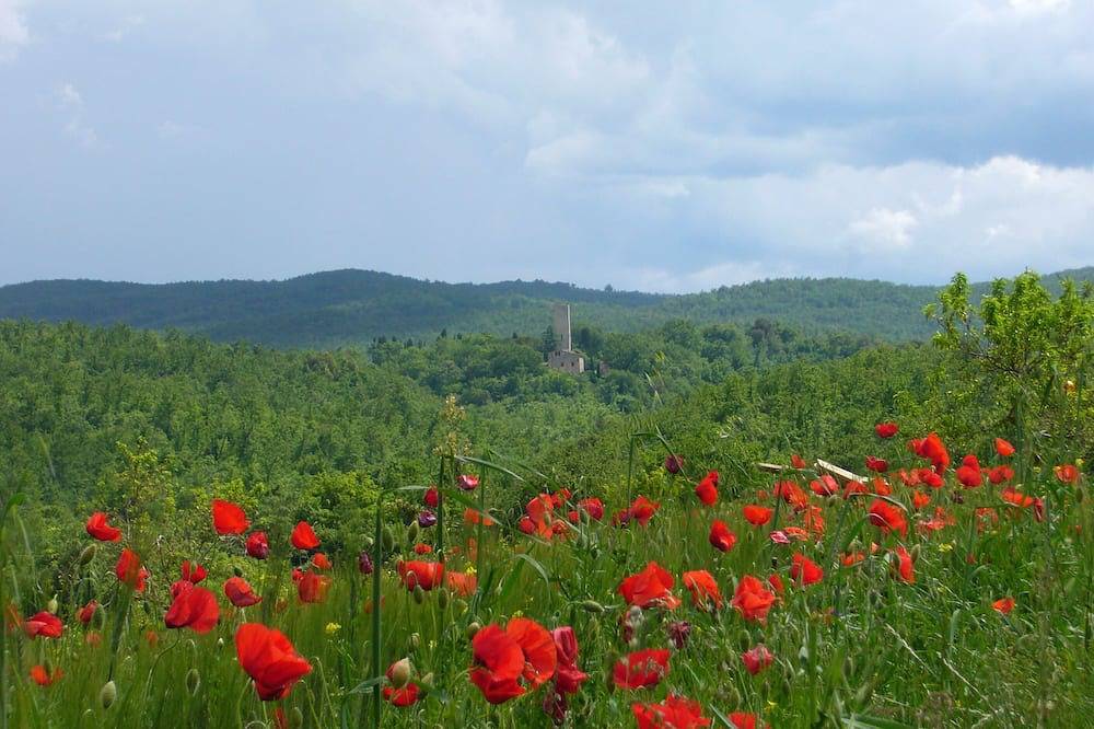 Ganze Wohnung, Agriturismo \"Torre di Sant'Ansano\" in Monteroni d'Arbia, Siena Provinz
