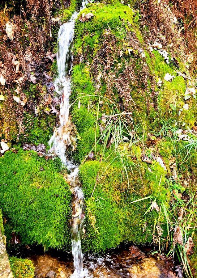 Location de vacances pour 11 personnes, avec terrasse et vue, animaux acceptés à Saint-Avit-Sénieur - 4