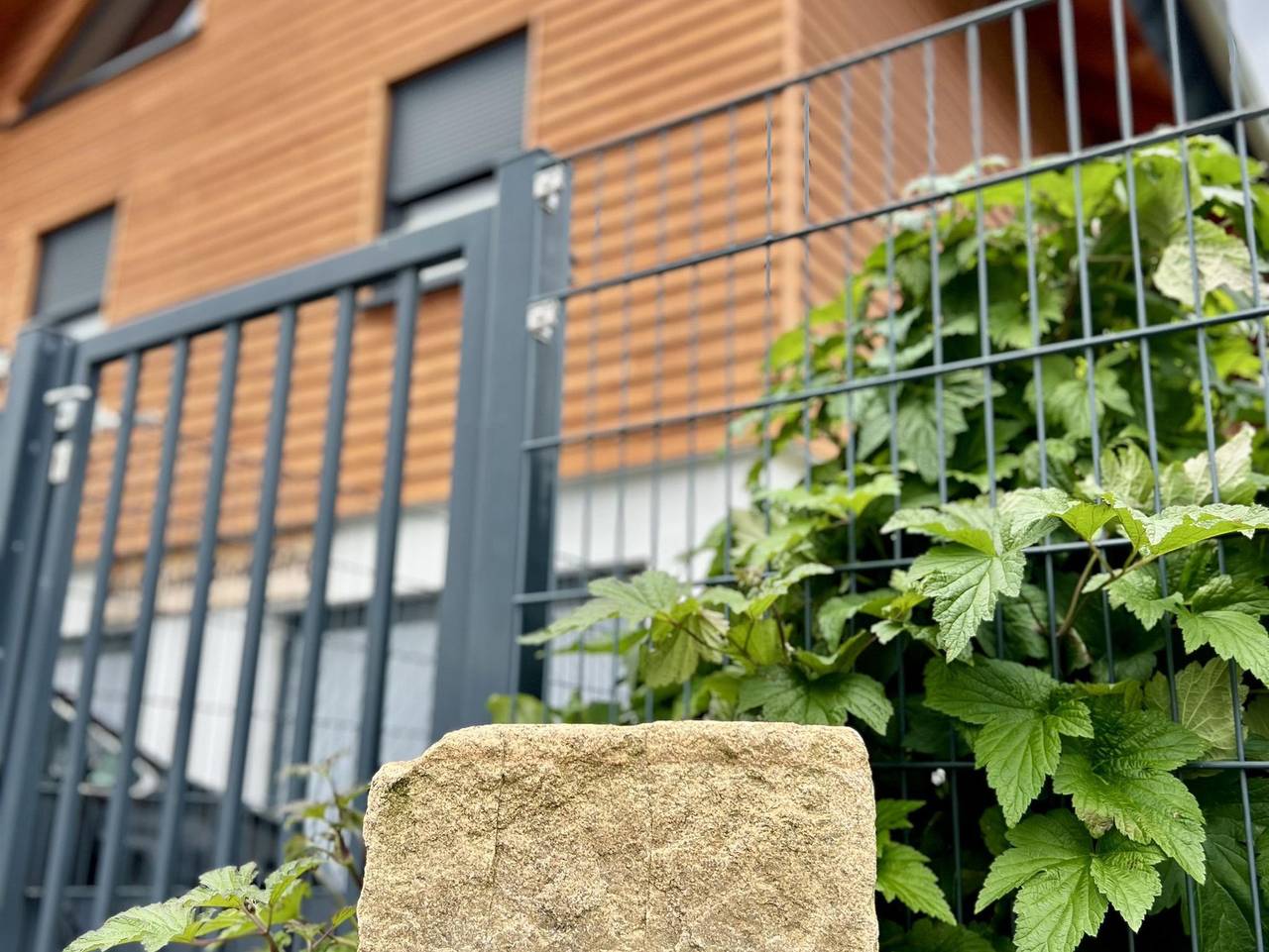 Ferienhaus für 4 Personen mit Terrasse in Friedrichsbrunn, Thale