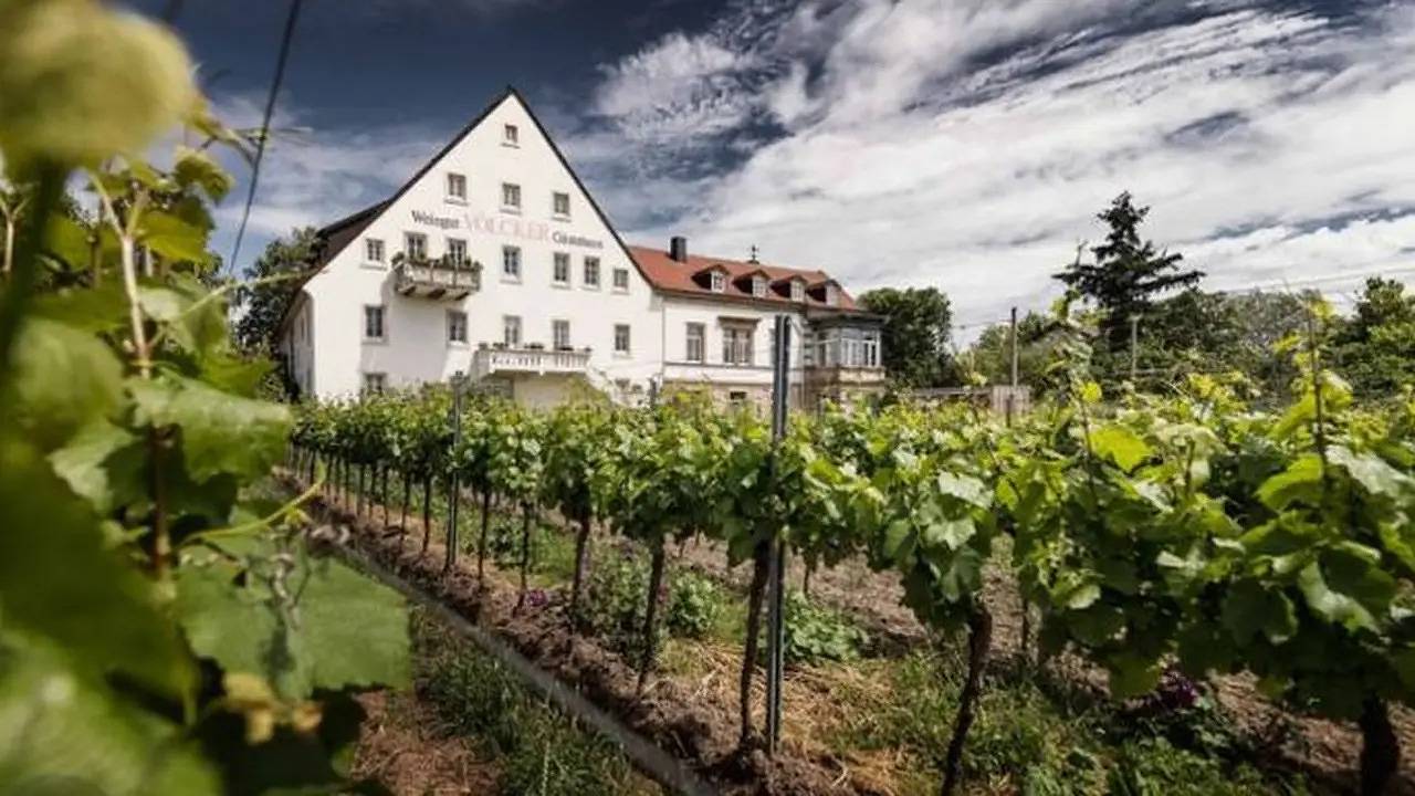 Einzelzimmer für 1 Person in Neustadt an der Weinstraße in Neustadt an der Weinstraße, Pfälzer Rheinebene