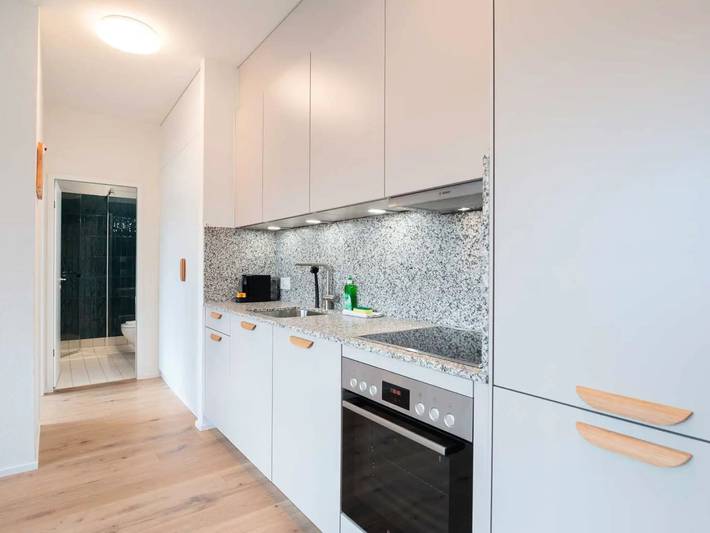 Apartamento entero, 2 Pièces 4 Personnes in Zürich 48 Altstetten, Zúrich