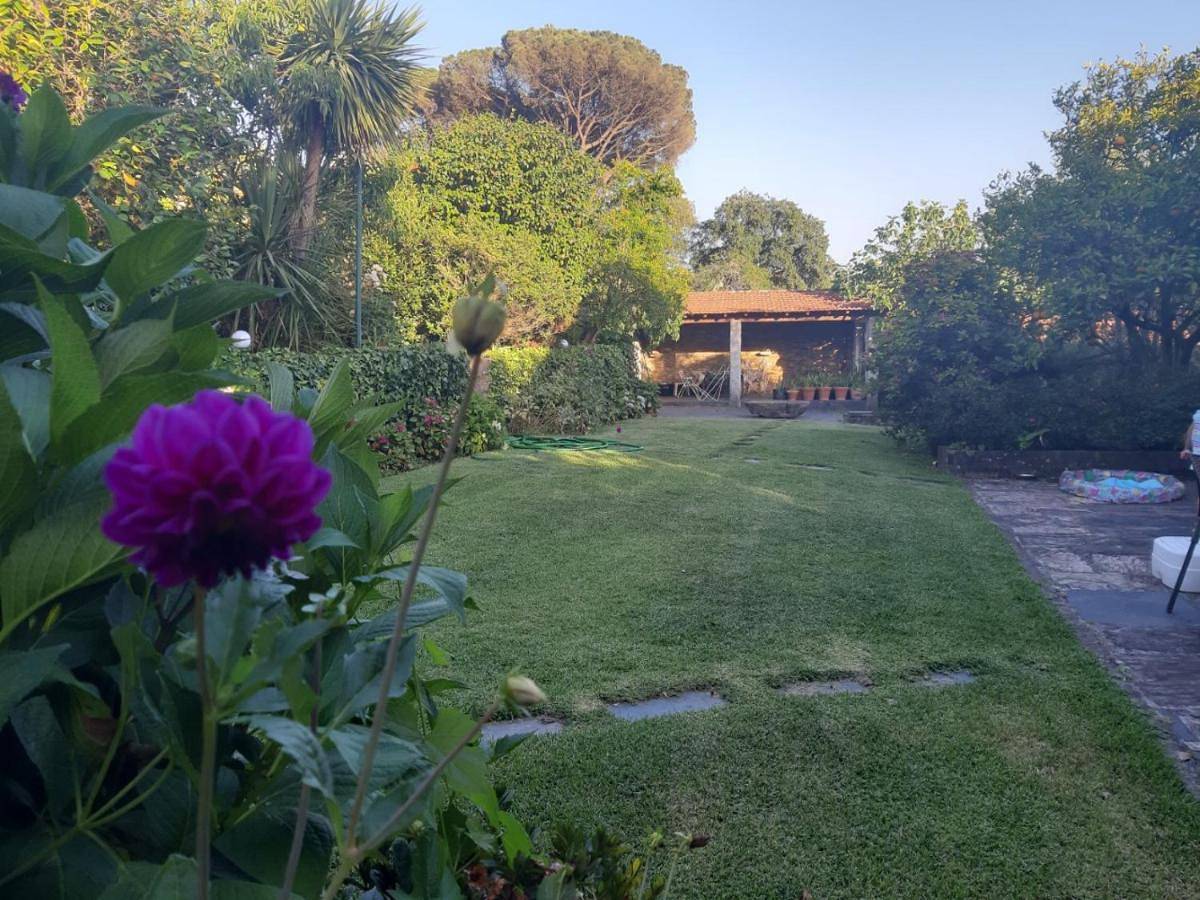 Quinta Drº Amarante in Melres, District de Porto