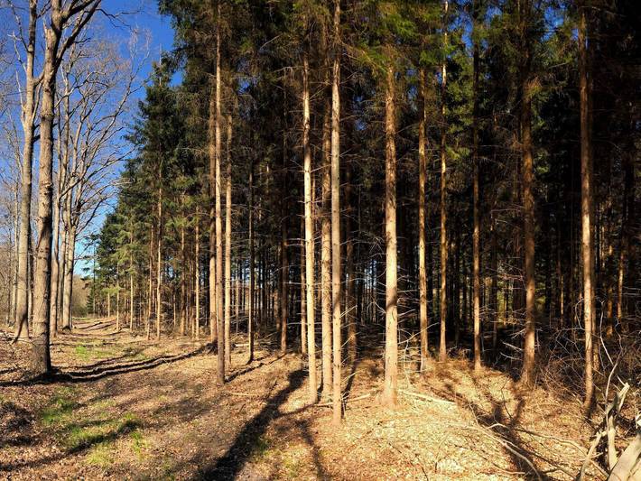 Strandhaus für 4 Personen, mit Garten, kinderfreundlich auf Seeland - 3