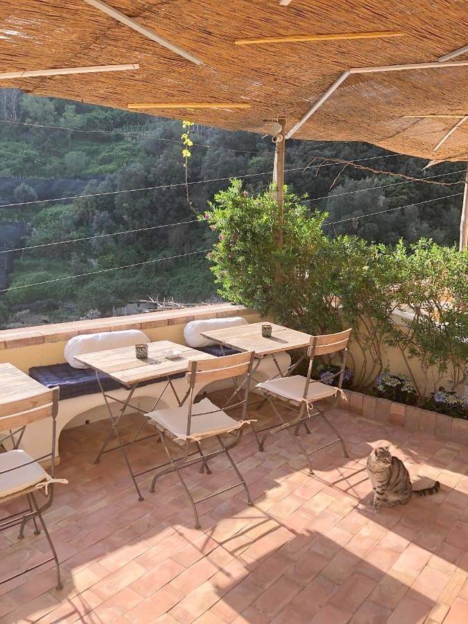 Location de vacances pour 16 personnes, avec jardin et vue à Castiglione - 4