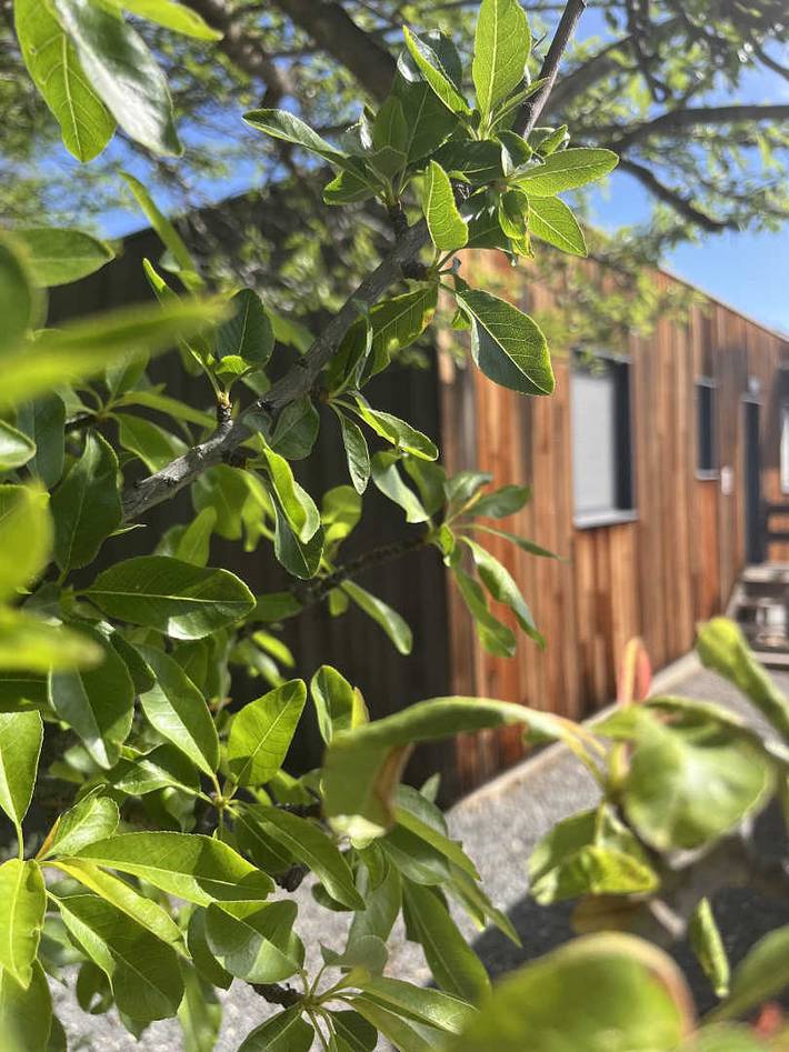 Gîte pour 5 personnes, avec piscine et jardin à La Palme - 3