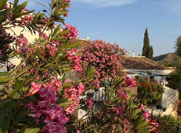 Casa rural para 2 personas, con jardín además de vistas y piscina, Se admiten mascotas en Álora - 3