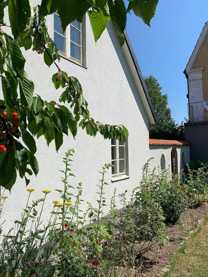 Ferienhaus für 6 Personen, mit Ausblick und Garten, mit Haustier - 1